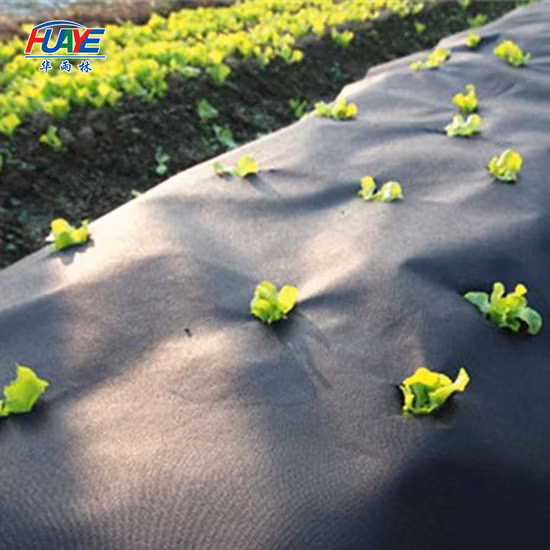 High Quality PP Spunbond Nonwoven Fabric for Furniture