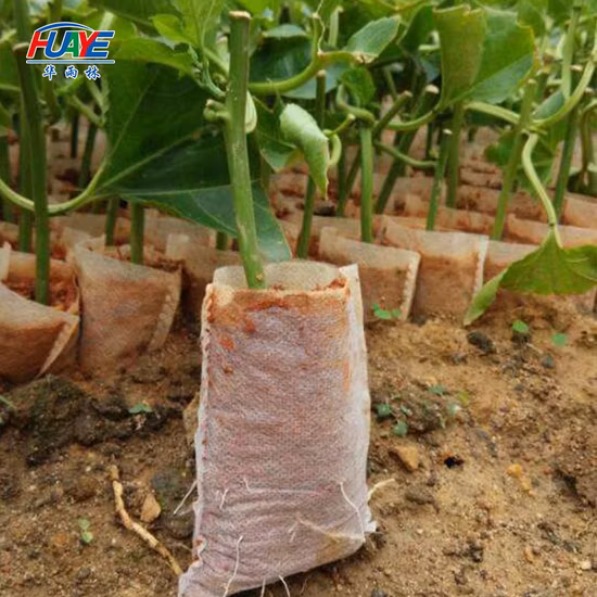 High Quality PP Spunbond Nonwoven Fabric for Furniture